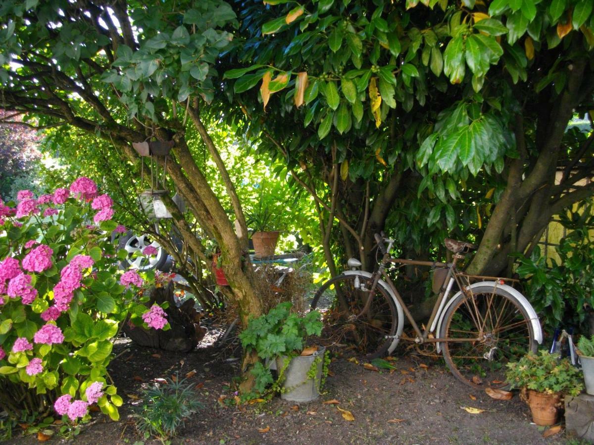 Bed and Breakfast Au Bois Dormant Huby-Saint-Leu Zewnętrze zdjęcie